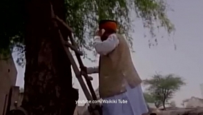 Индийский министр залез на дерево, чтобы позвонить
